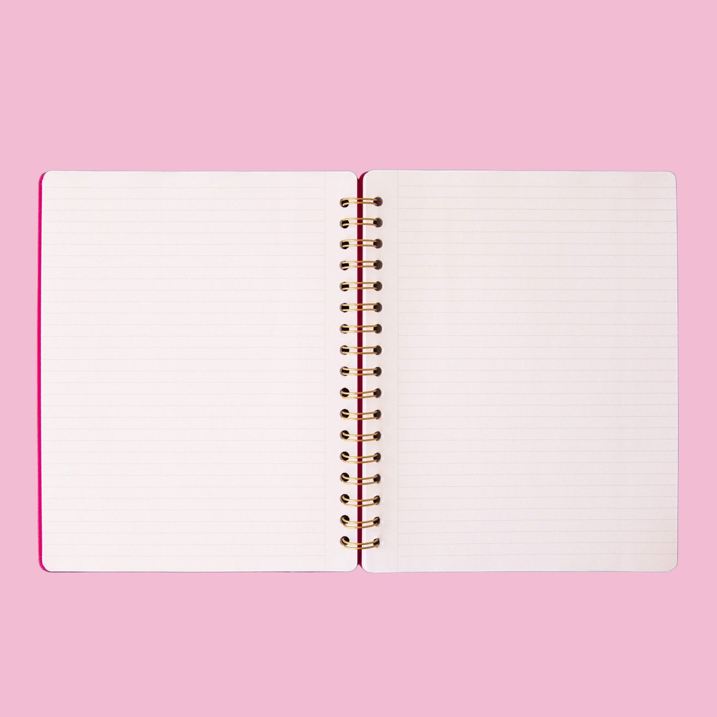 The interior of the notebook that is lined. 