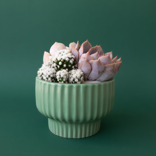 A jade green pedestal pot with a ribbed texture. 