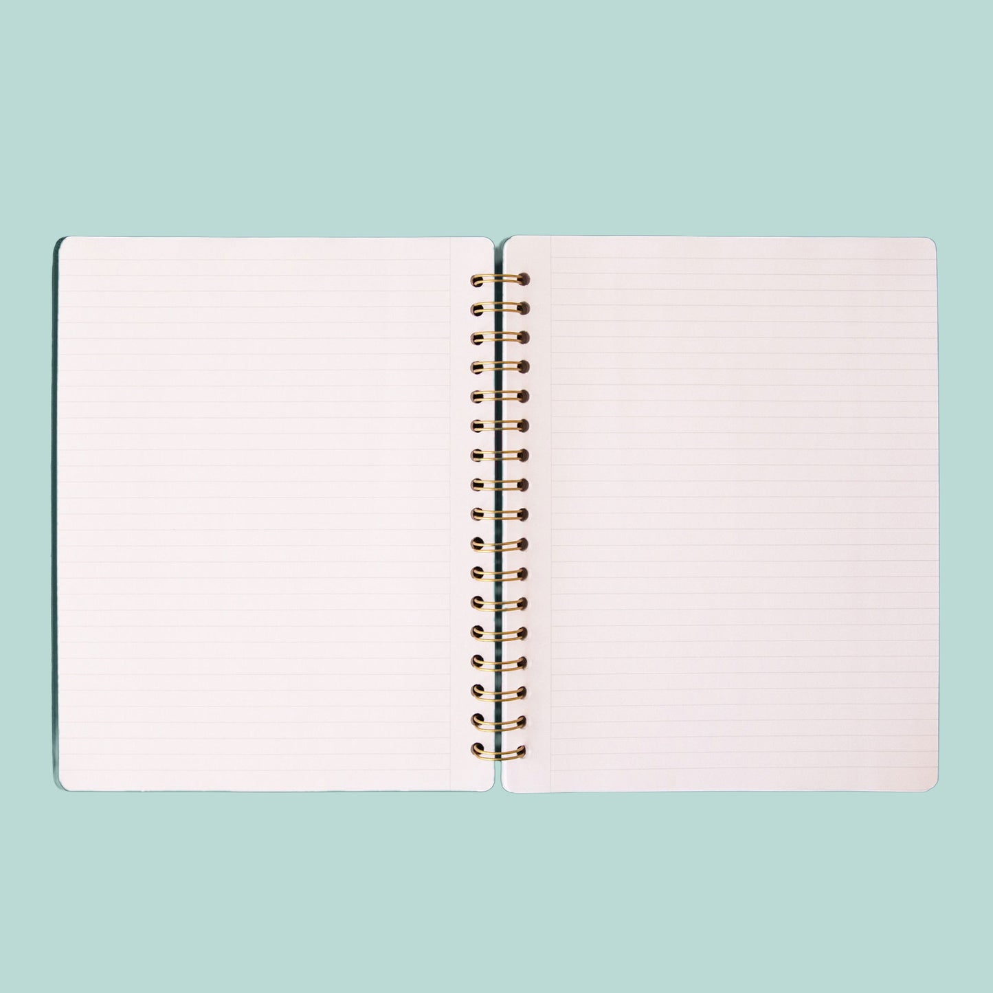 A teal colored journal with a snake motif in gold sits on a green background.