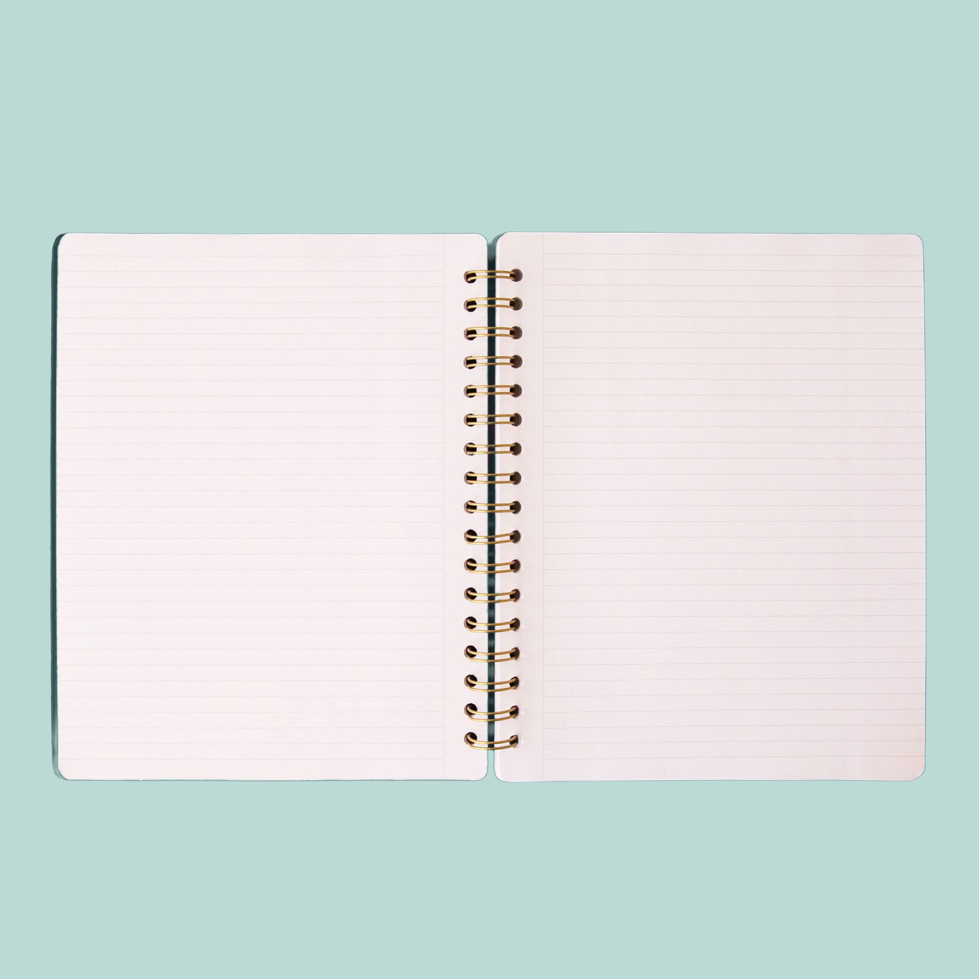 A teal colored journal with a snake motif in gold sits on a green background.