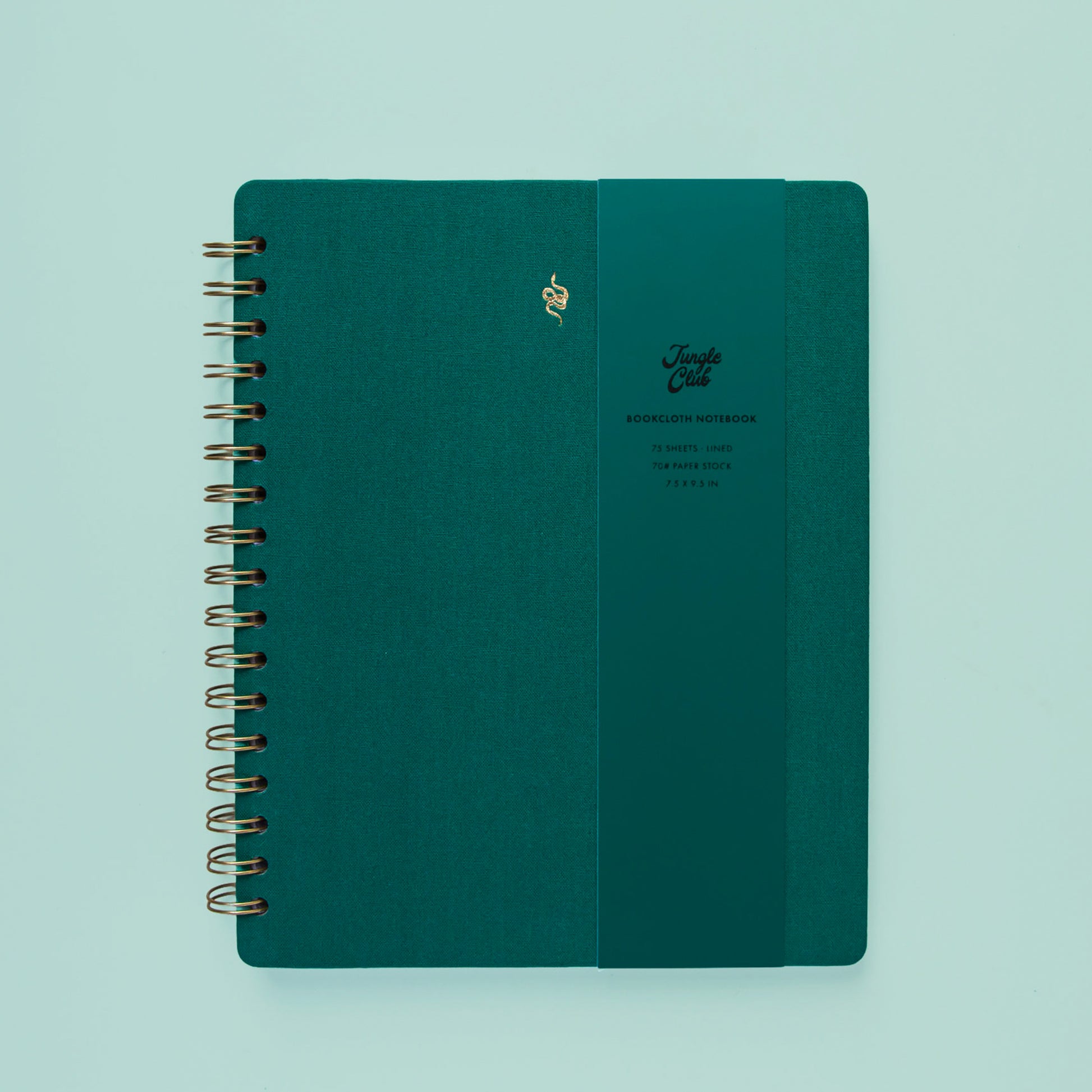 A teal colored journal with a snake motif in gold sits on a green background.
