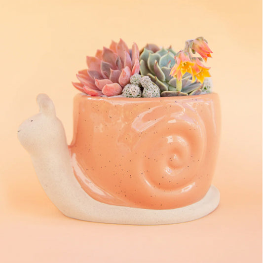 Snail Planter | Sunset