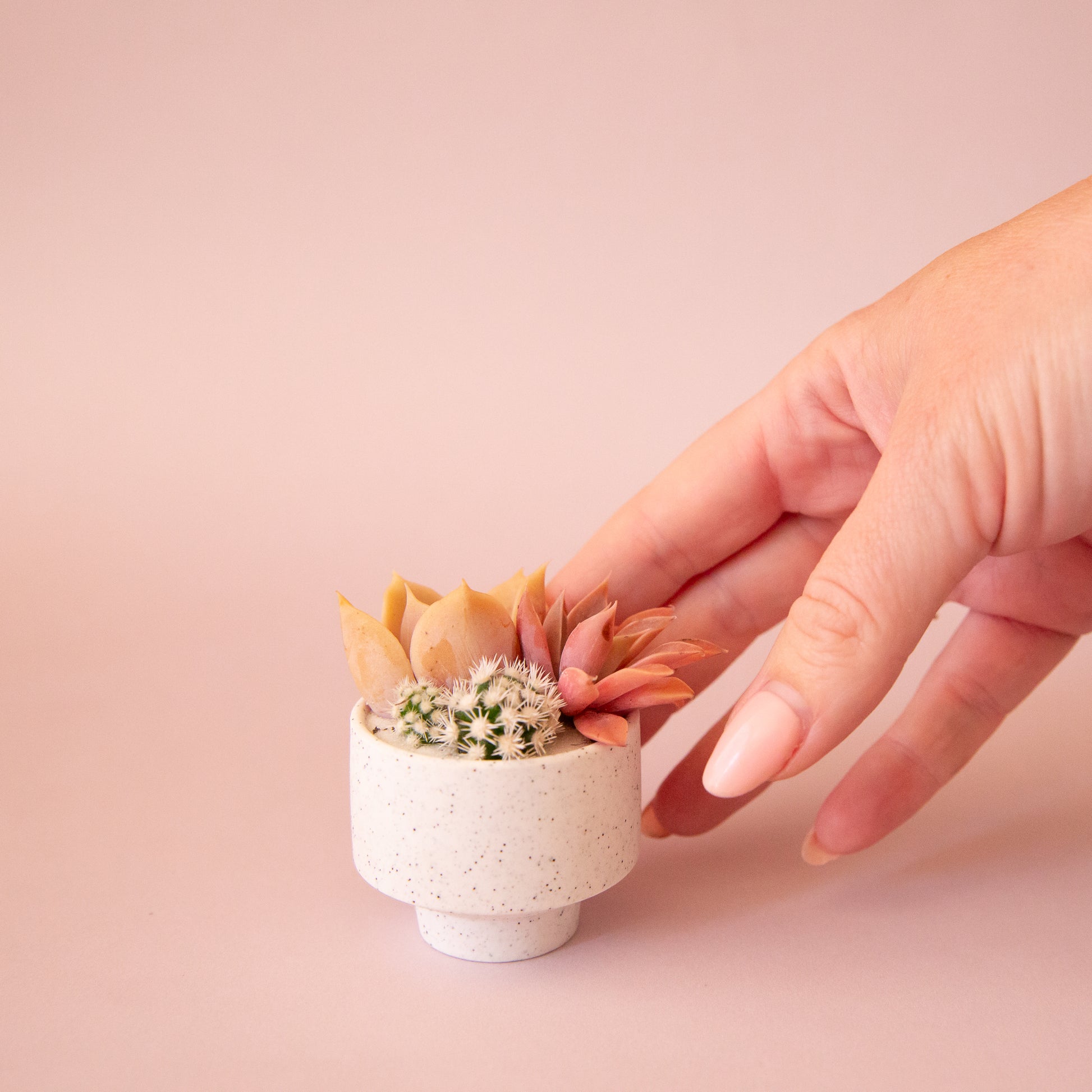 A speckled footed ceramic planter in a neutral shade. 