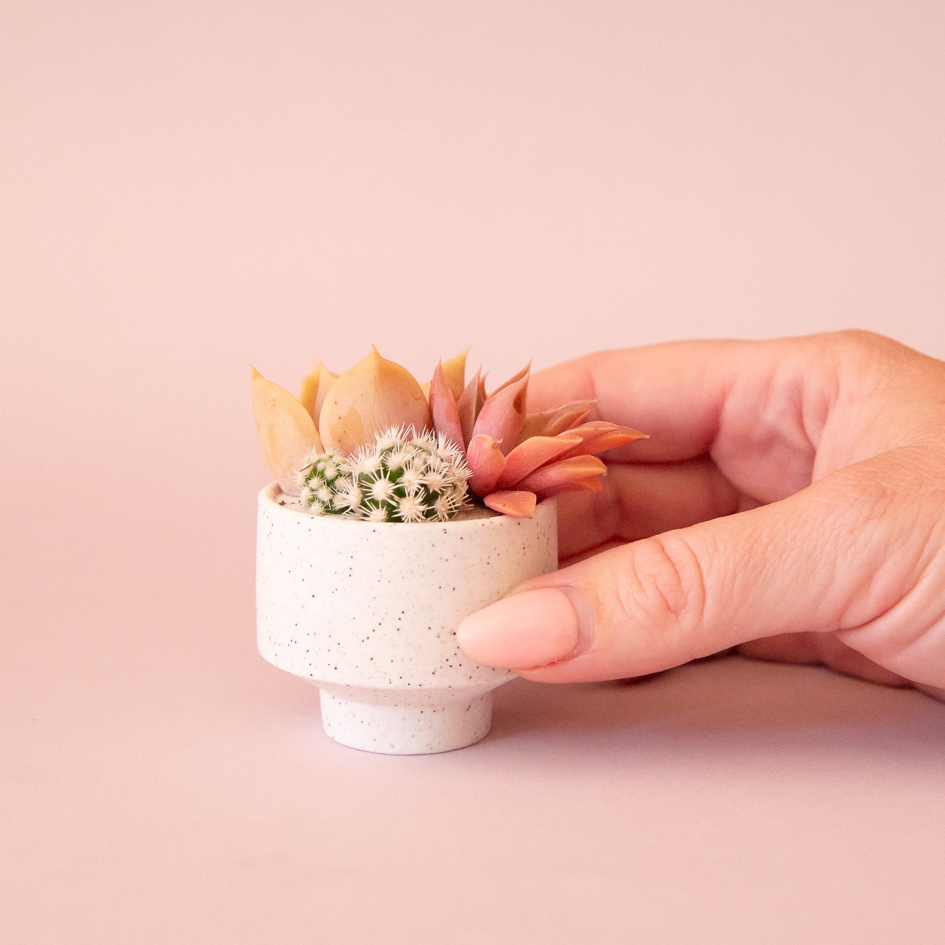 A speckled footed ceramic planter in a neutral shade. 