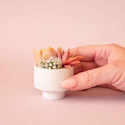 A speckled footed ceramic planter in a neutral shade. 