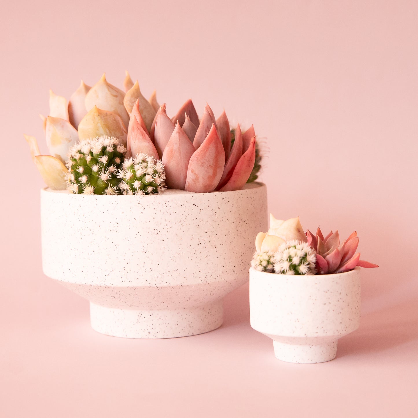 A speckled footed ceramic planter in a neutral shade. 