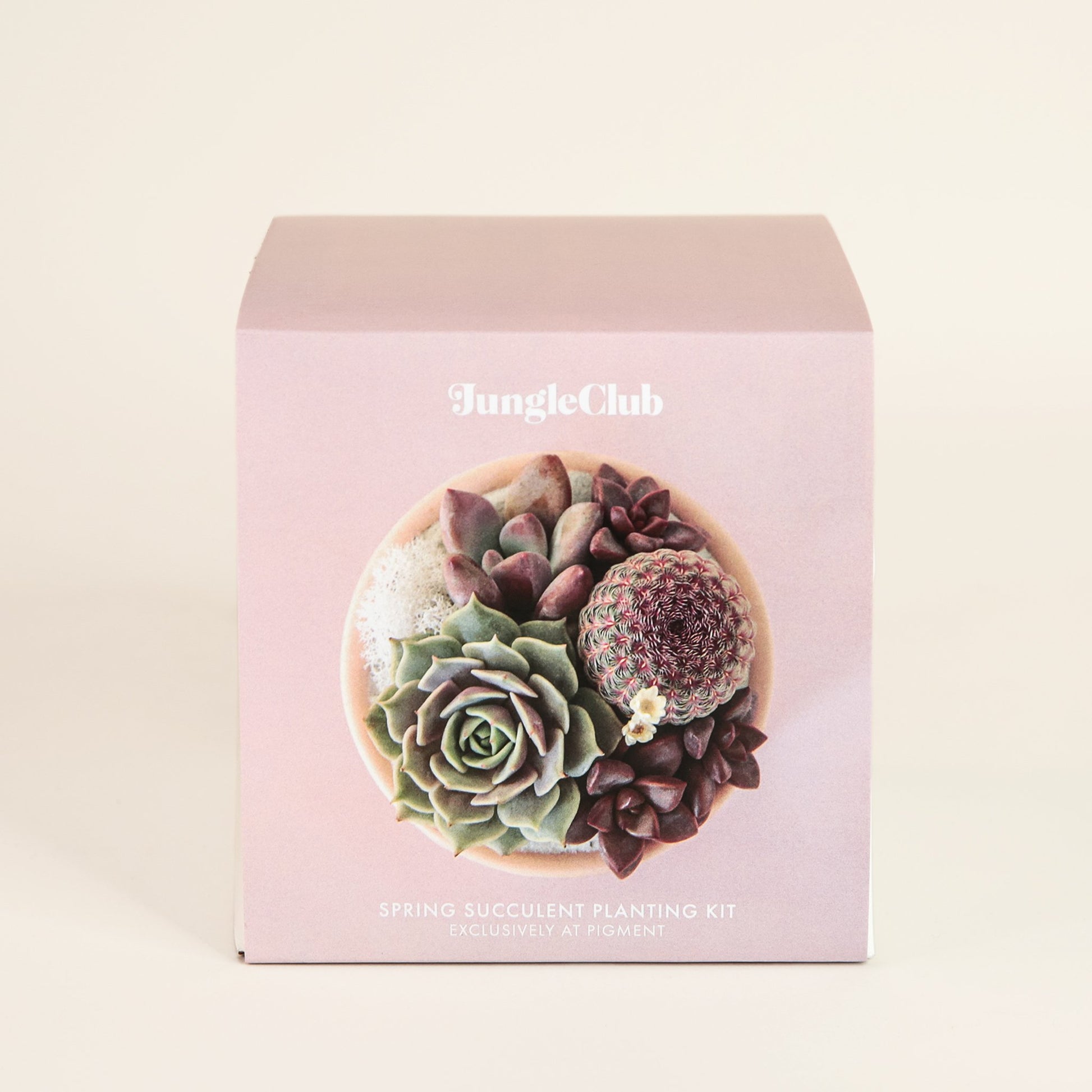 Small pink packaging of small planting kit. The packaging is light lavender and includes an image of a completed succulent planting and is labeled 'JungleClub'.