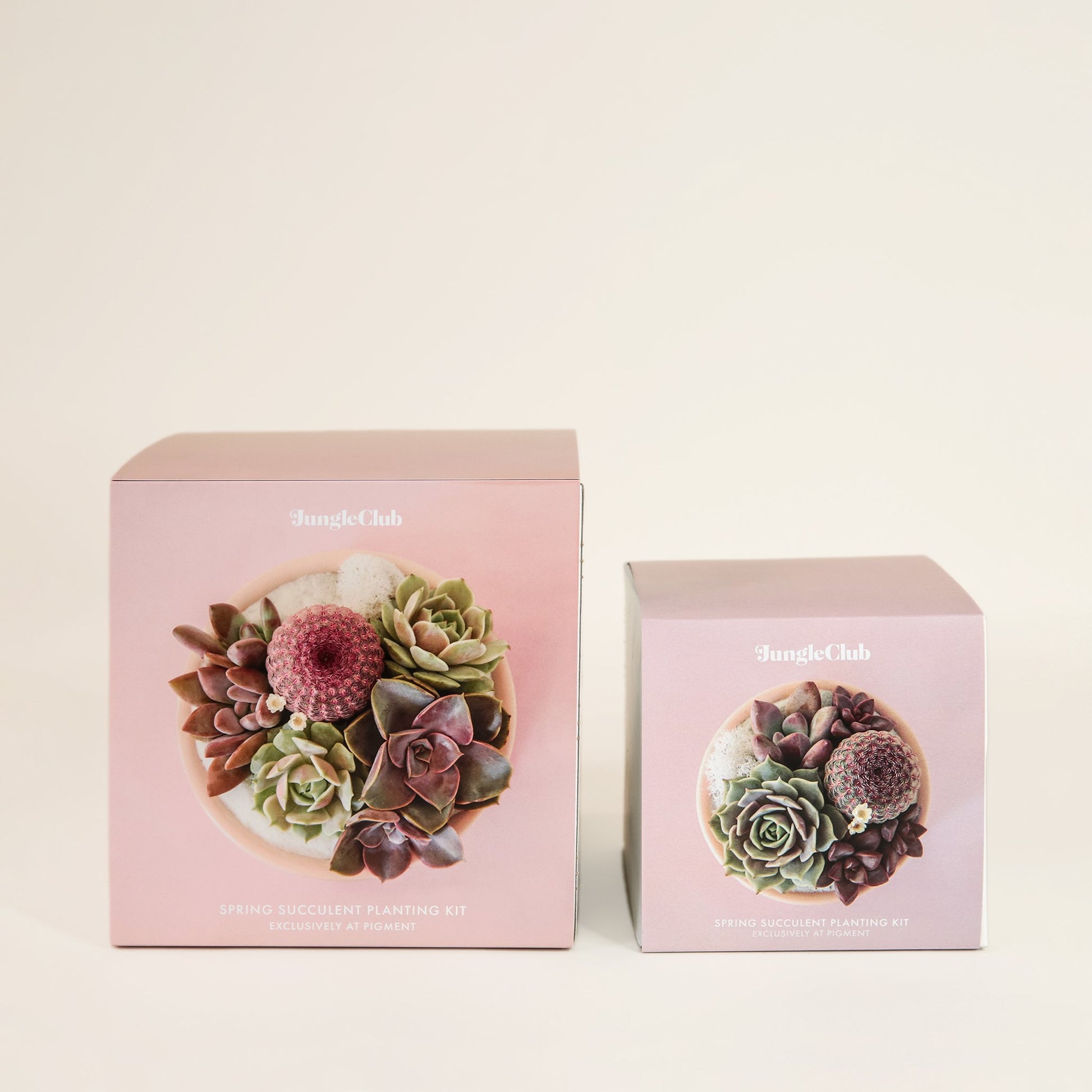 Two boxed planting kits. The box to the left is the larger of the two and has soft pink packaging. The box to the right is smaller in a light lavender color. Each box features images of potted succulent arrangements. The boxes read 'Jungle club, spring succulent planting kit' in small white lettering.
