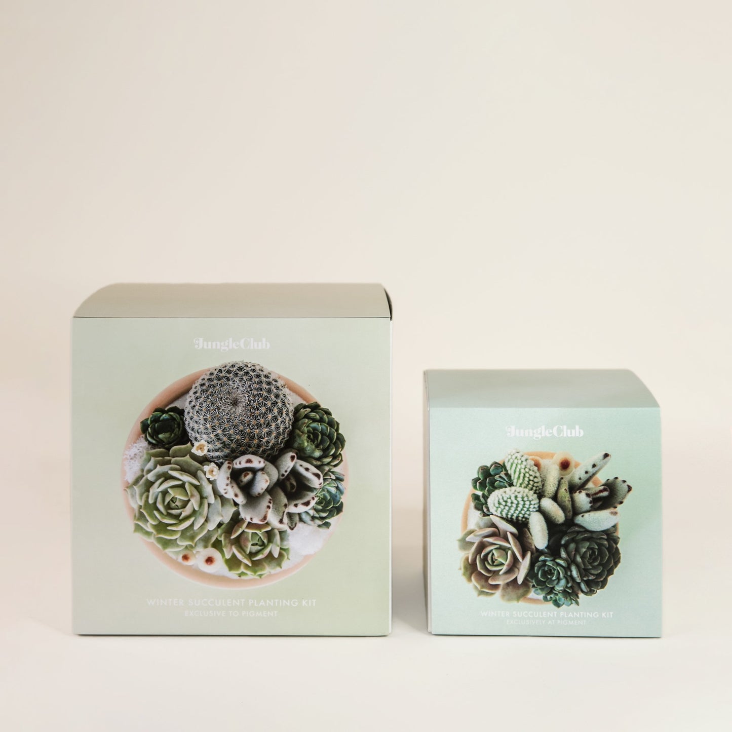 Two boxed planting kits. The box to the left is the larger of the two and has pastel pink packaging. The box to the right is smaller in a light blue color. Each box features images of potted succulent arrangements. The boxes read 'Jungle club, spring succulent planting kit' in small white lettering. 
