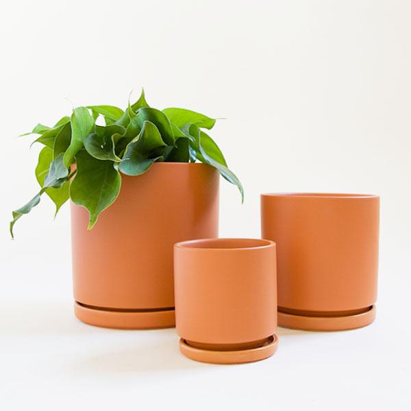 Three terracotta orange cylinder planters, each complete with matching water tray. The three sit staggered in front of each other in sizes small, medium and large. The large pot to the right is potted with a green leafy plant.