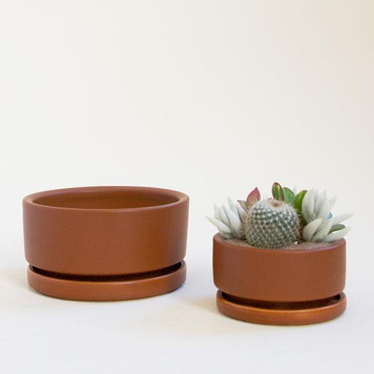 Two chocolate brown low bowl planting pots, both complete with water trays. The bowl to the left sits empty, while the bowl to the right is smaller and filled with an artfully crafted succulent arrangement.