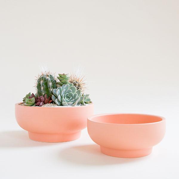 A pair of two salmon colored pedestal bowls, both with tapered bases. To the left is the larger of the pair filled with an artfully full succulent and cacti planting. The bowl to the right is slightly shorter and sits empty. 