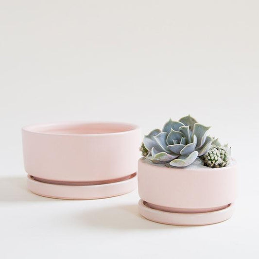 Two pastel pink low bowl planting pots, both complete with water trays. The bowl to the left sits empty, while the bowl to the right is smaller and filled with an artfully crafted succulent arrangement.