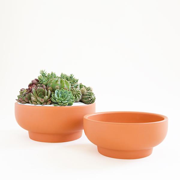Two terracotta orange pedestal bowl planting pots, both with tapered bases. The bowl to the left is filled with a lush succulent arrangement, while the bowl to the right sits empty.