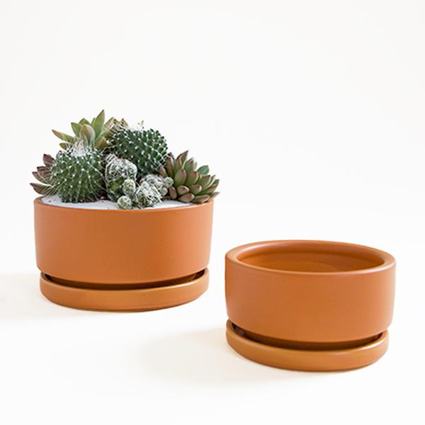 On a white background is two different sized orange, low-profile ceramic planters. The larger of the two contains a succulent and cacti arrangement that is sold separately. 