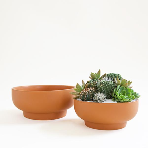 Two burnt orange pedestal bowl planting pots, both with tapered bases. The bowl to the left sits empty, while the bowl to the right is filled with an artfully crafted, green succulent arrangement.