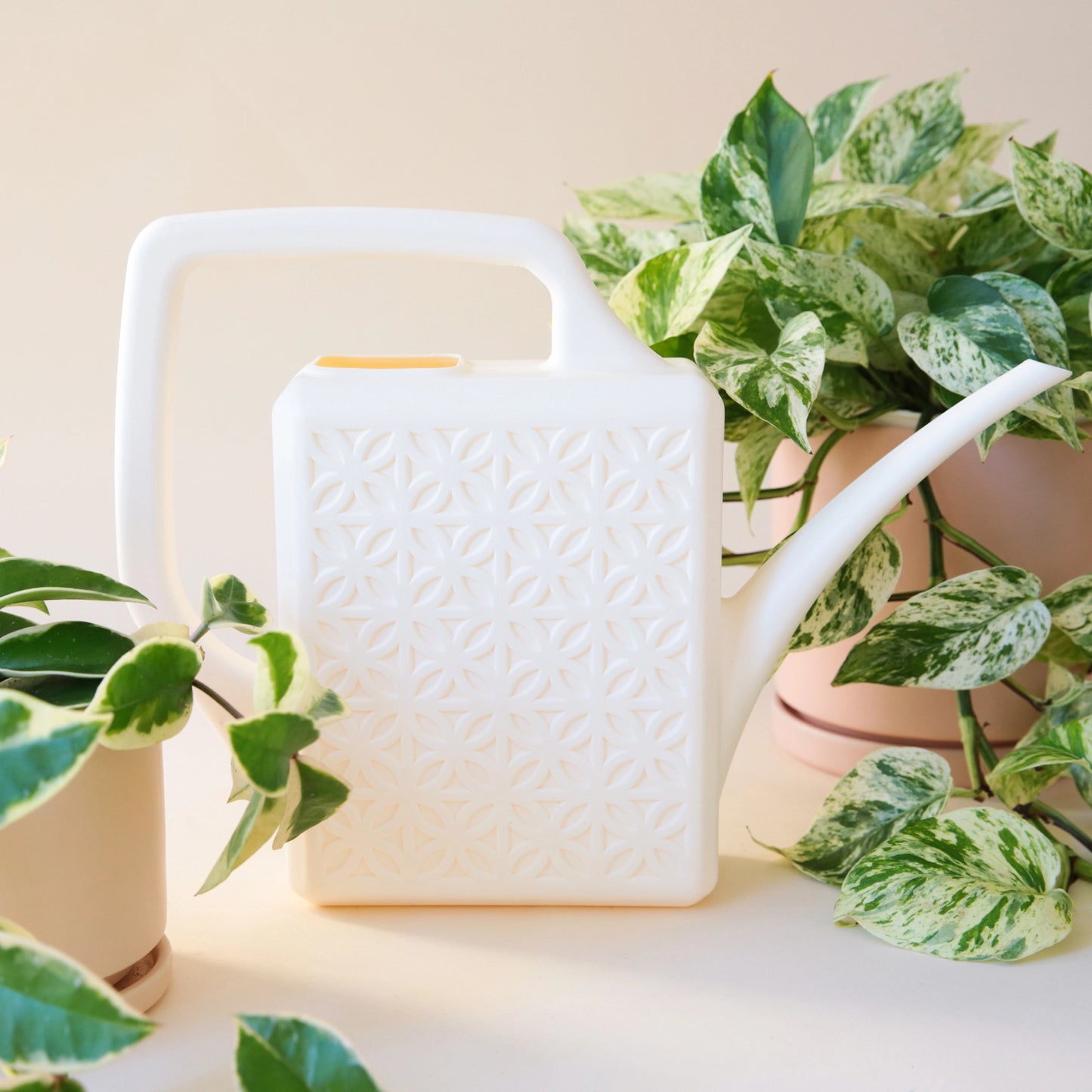 On a cream background staged around variegated pothos in pink pots, is a white plastic watering can with a breeze block design on both sides along with a long spout and a squared off handle for easy watering.