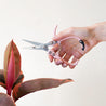 Pair of pruning shears with pastel pink handles and metal blades. The outer blade reads 'jungle club' in small, playful lettering. The pruning shears have a black clasp at the top of the handles to secure them closed. In this photograph, they're staged in front of a cream background and a model's hand is about to go in to clip a plant.