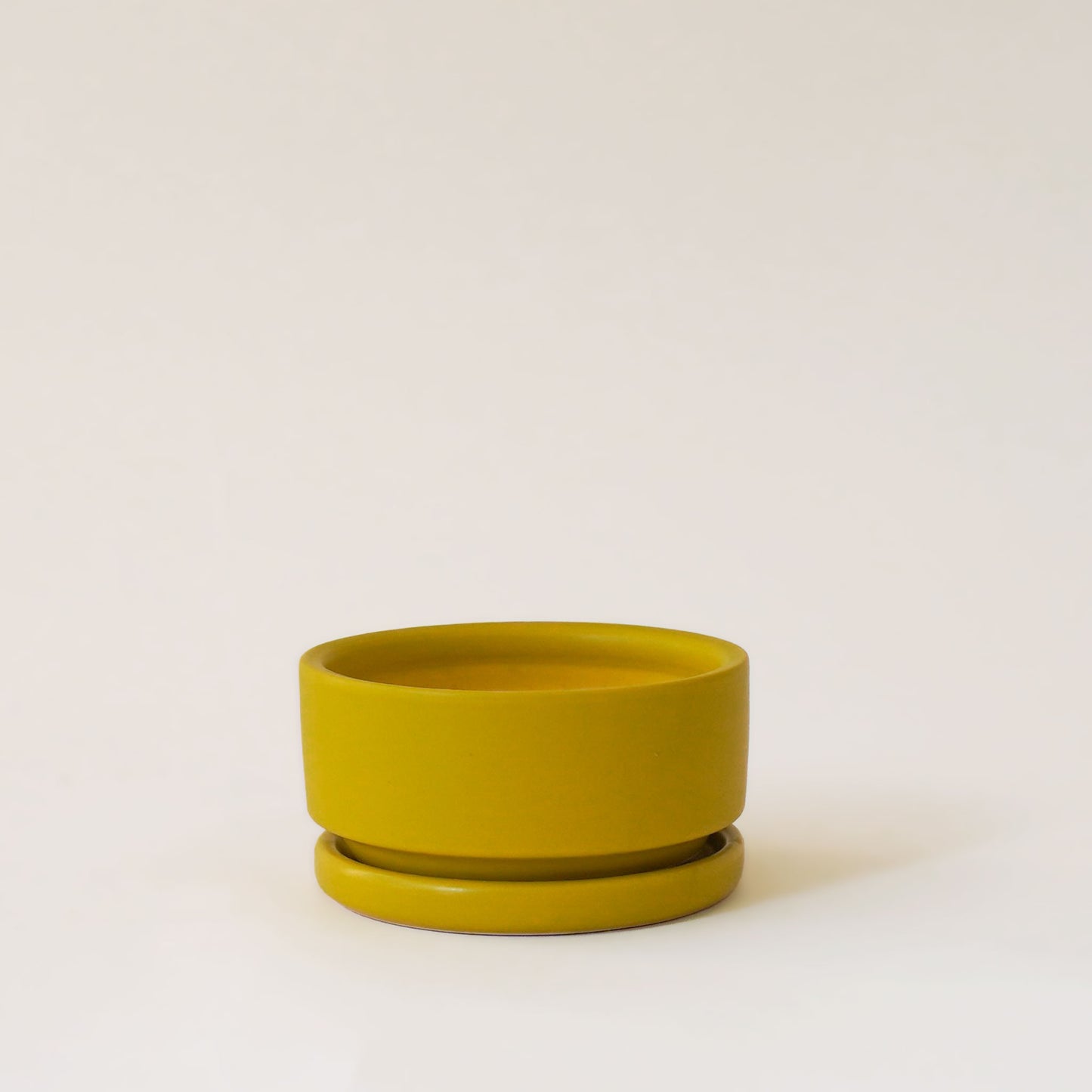 Chartreuse short and wide bowl planter complete with matching water tray below.