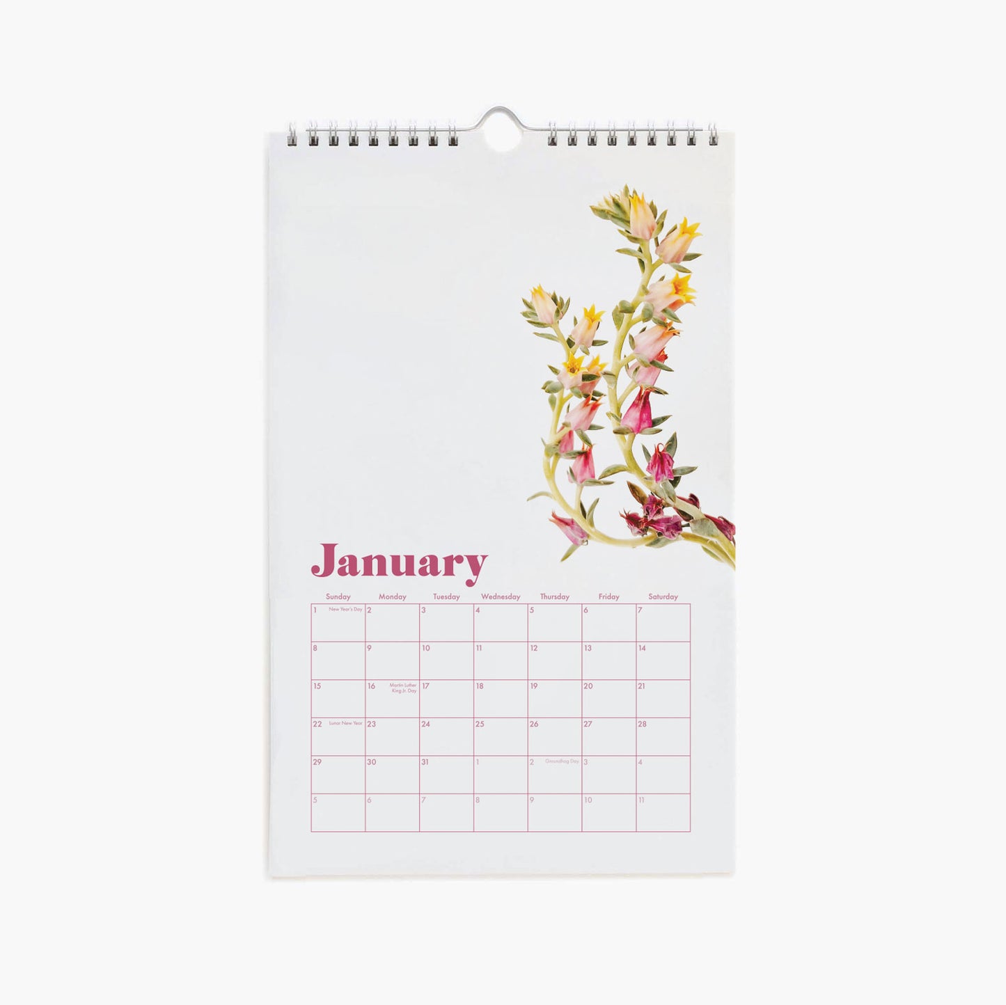 A spiral bound calendar with a cream front cover with a succulent and cacti arrangement photograph and "Desert Blooms 2023 Calendar" in burnt orange text on the top. The interior features a monthly calendar layout accompanied by a different succulent or cacti photograph on each month's page.