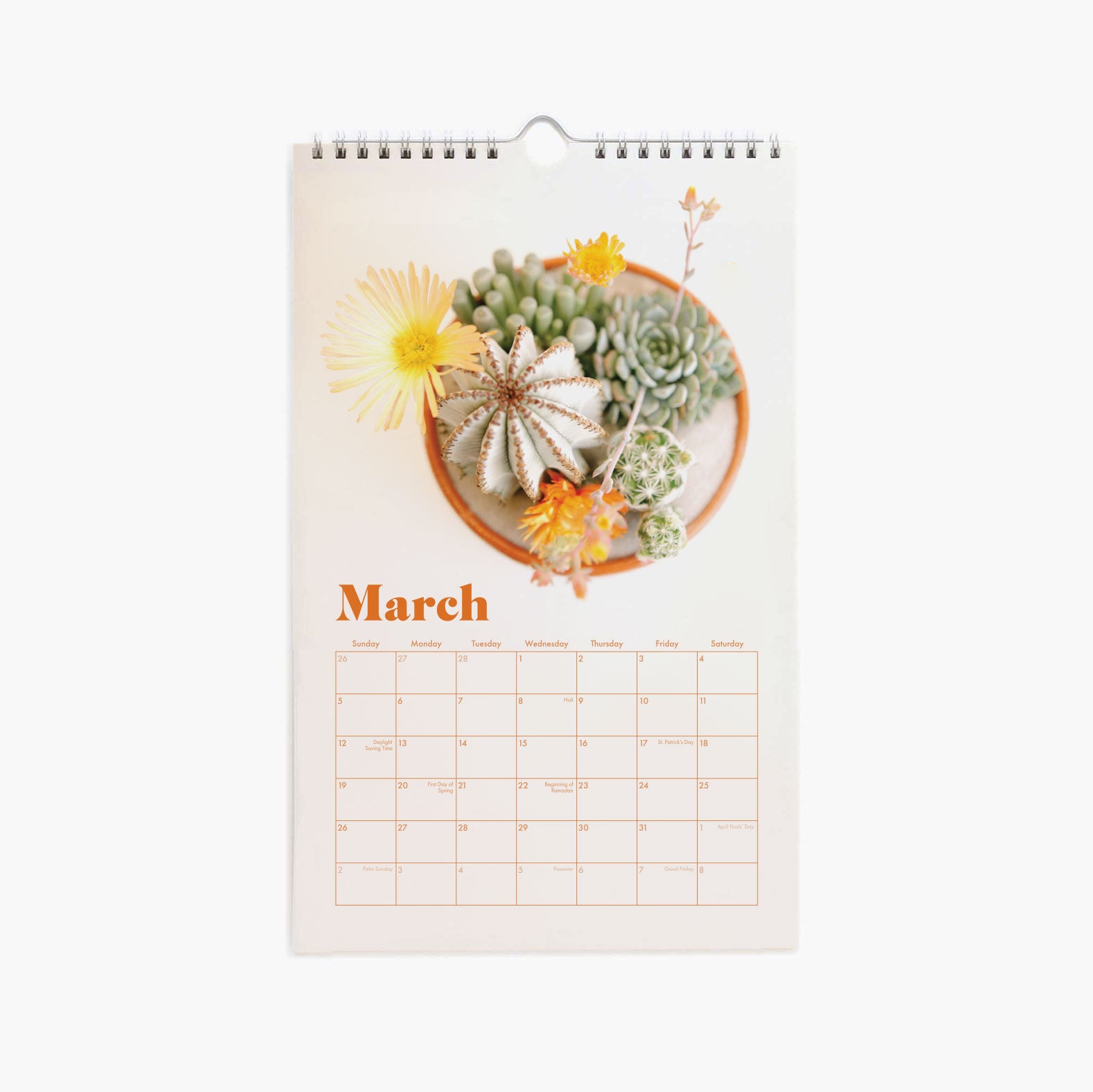 A spiral bound calendar with a cream front cover with a succulent and cacti arrangement photograph and "Desert Blooms 2023 Calendar" in burnt orange text on the top. The interior features a monthly calendar layout accompanied by a different succulent or cacti photograph on each month's page.