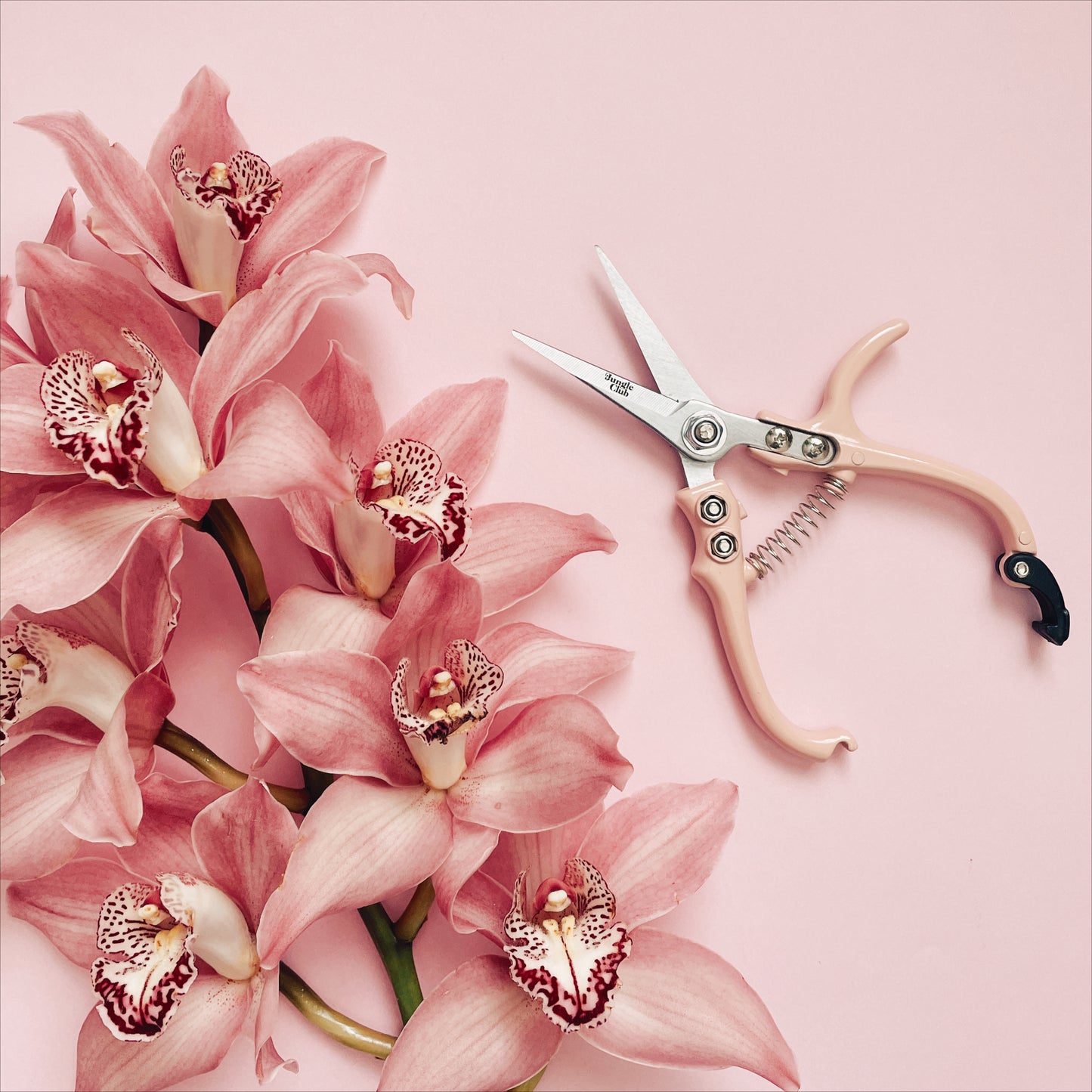 Pair of pruning shears with pastel pink handles and metal blades. The outer blade reads 'jungle club' in small, playful lettering. The pruning shears have a black clasp at the top of the handles to secure them closed. In this photograph, they're staged on a pink background and next to tropical pink flowers.